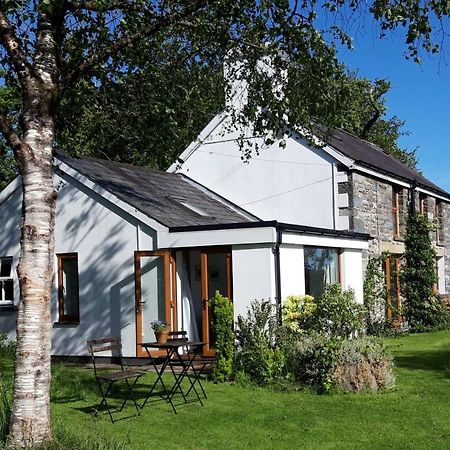 Nant Yr Onnen B&B And Holiday Cottage Tregaron Εξωτερικό φωτογραφία