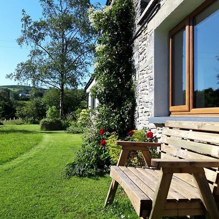 Nant Yr Onnen B&B And Holiday Cottage Tregaron Εξωτερικό φωτογραφία