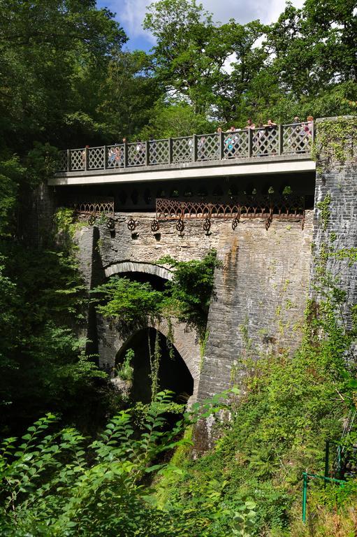 Nant Yr Onnen B&B And Holiday Cottage Tregaron Εξωτερικό φωτογραφία
