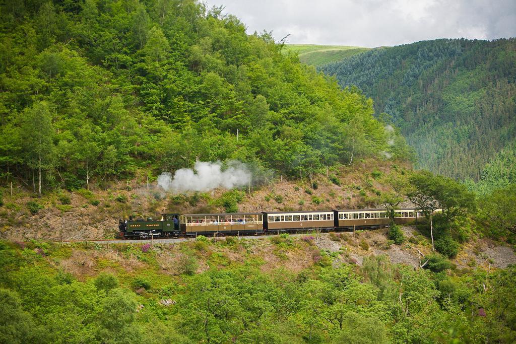 Nant Yr Onnen B&B And Holiday Cottage Tregaron Εξωτερικό φωτογραφία
