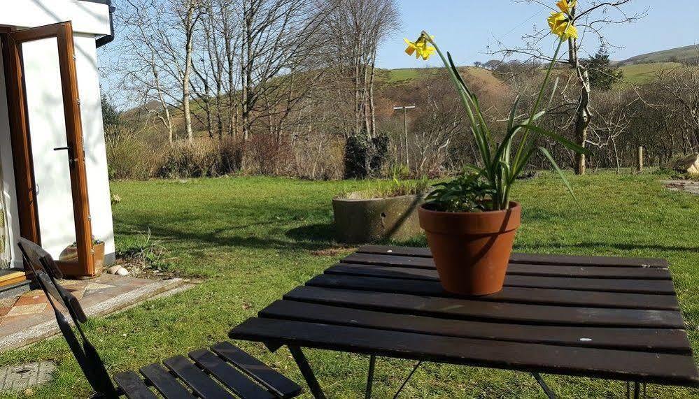 Nant Yr Onnen B&B And Holiday Cottage Tregaron Εξωτερικό φωτογραφία