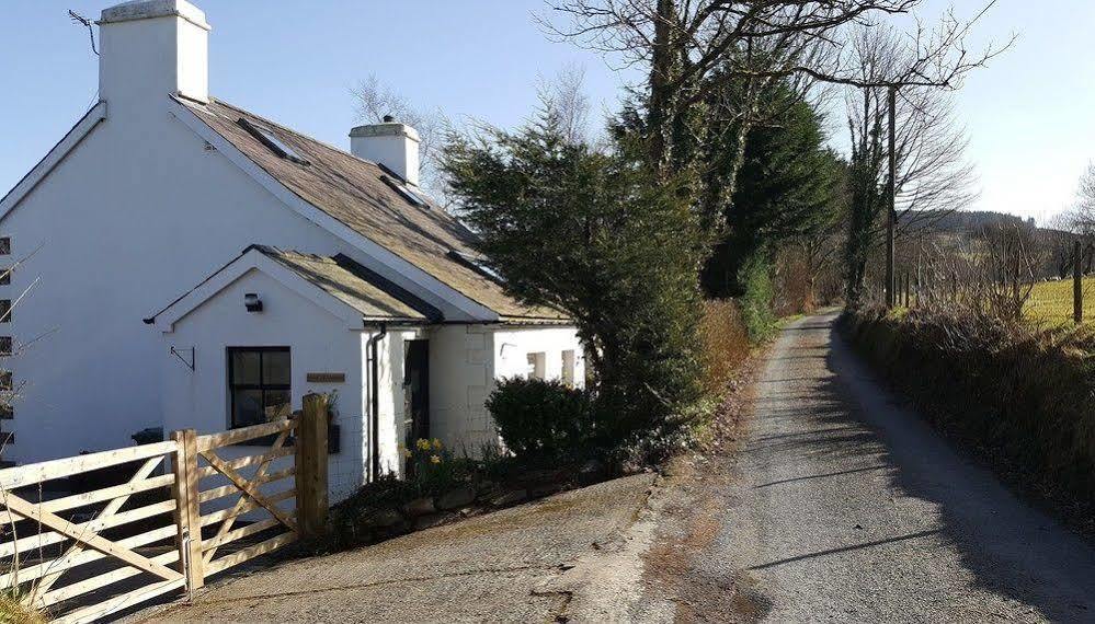 Nant Yr Onnen B&B And Holiday Cottage Tregaron Εξωτερικό φωτογραφία