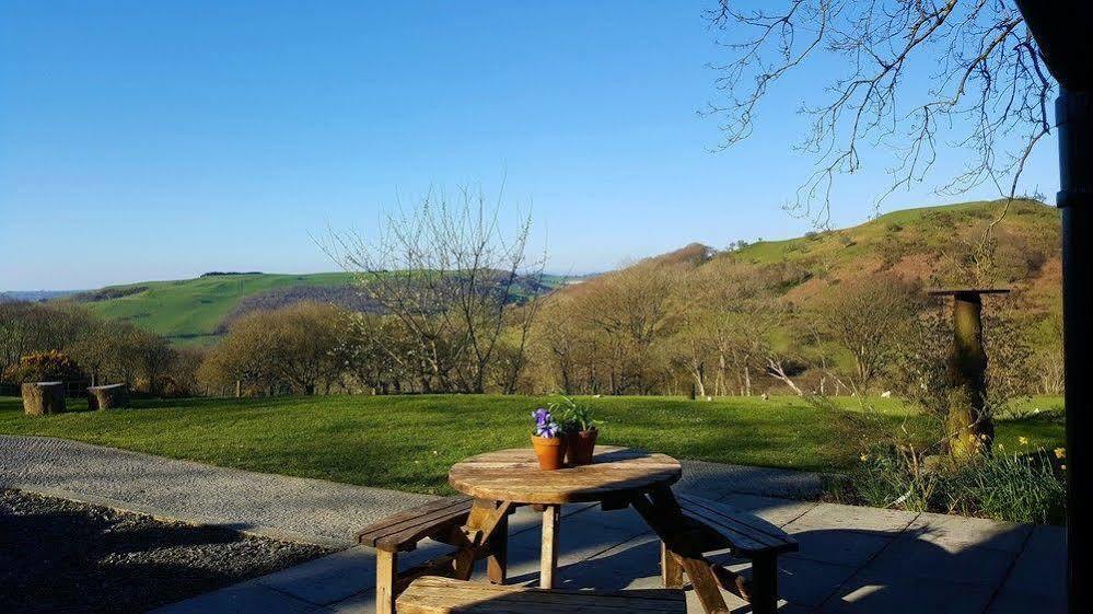 Nant Yr Onnen B&B And Holiday Cottage Tregaron Εξωτερικό φωτογραφία