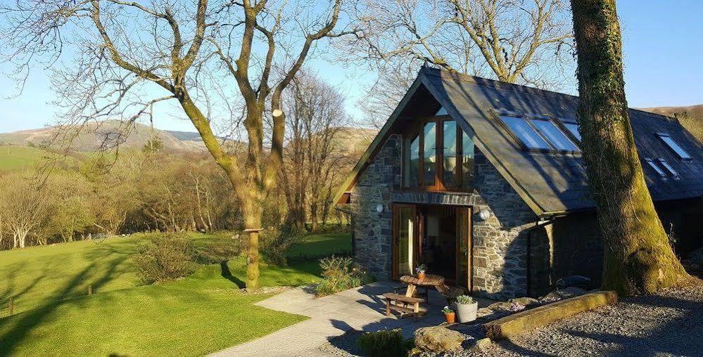 Nant Yr Onnen B&B And Holiday Cottage Tregaron Εξωτερικό φωτογραφία