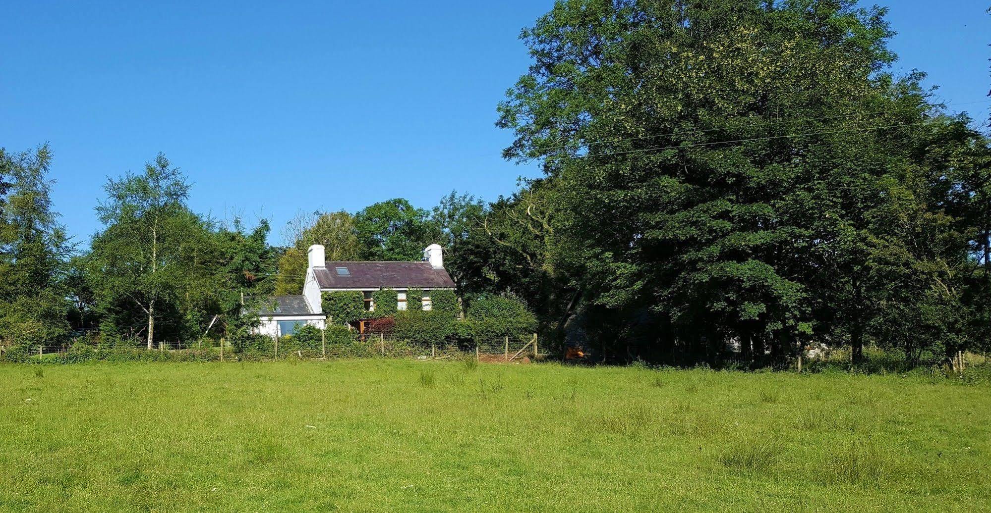 Nant Yr Onnen B&B And Holiday Cottage Tregaron Εξωτερικό φωτογραφία