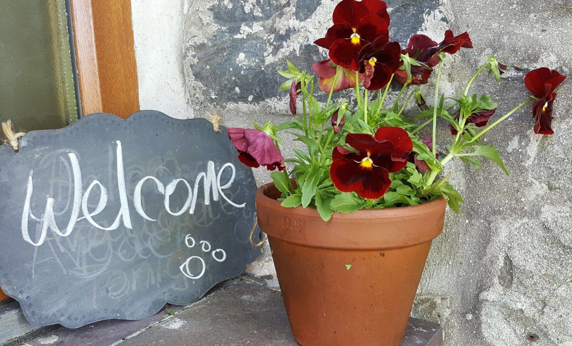Nant Yr Onnen B&B And Holiday Cottage Tregaron Εξωτερικό φωτογραφία