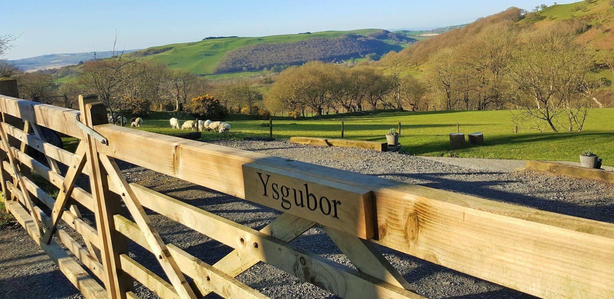 Nant Yr Onnen B&B And Holiday Cottage Tregaron Εξωτερικό φωτογραφία