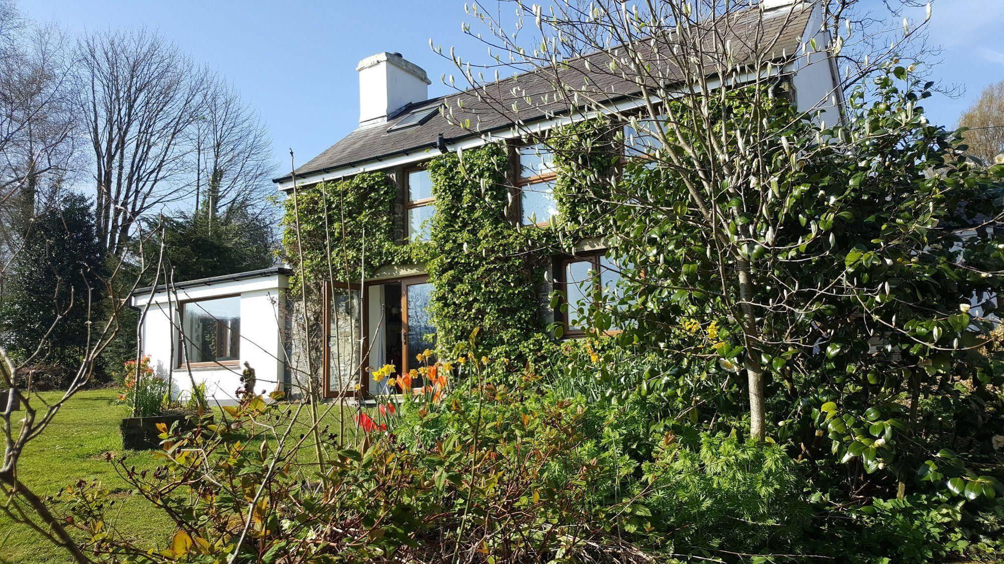 Nant Yr Onnen B&B And Holiday Cottage Tregaron Εξωτερικό φωτογραφία