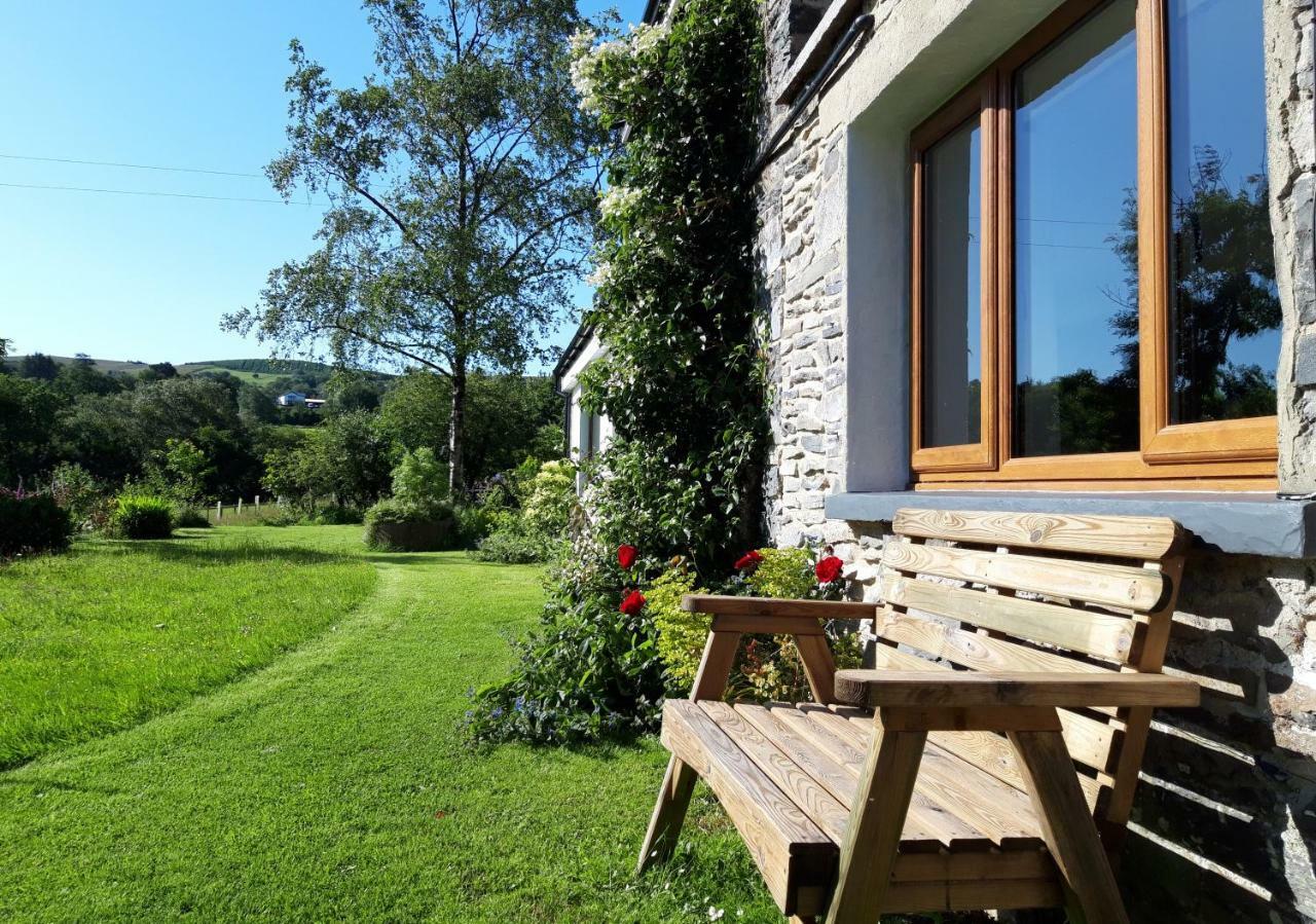 Nant Yr Onnen B&B And Holiday Cottage Tregaron Εξωτερικό φωτογραφία